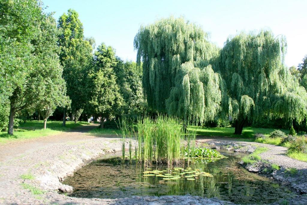 Hotel Odr Sulechów 外观 照片
